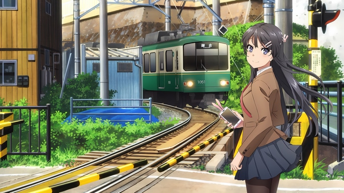 Sakurajima Mai and a train
