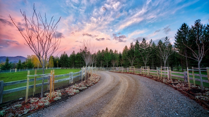 4K Wanaka New Zealand Road and Trees