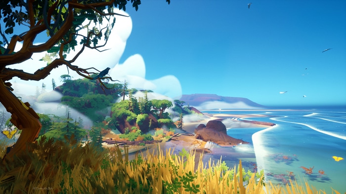 4K Nature Landscape with Sea and Coast