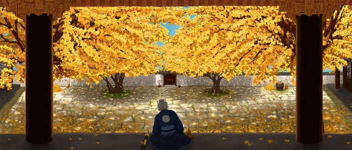 Old person in a Chinese yard with ginkgo trees