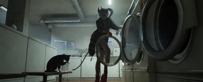 Fantasy girl with demon horns and cats in a laundry room