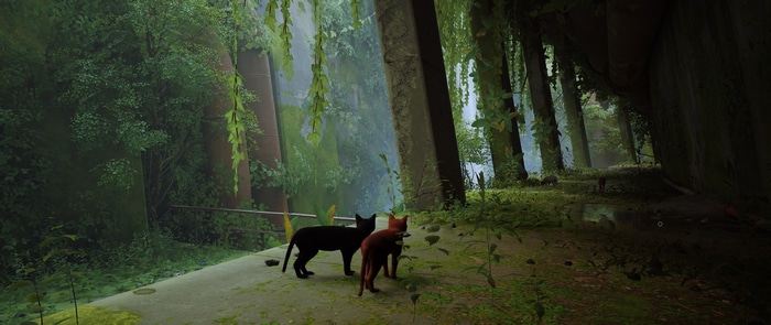 Two cats in a overgrown urban environment