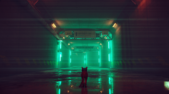 Cat in a neon-lit cyberpunk tunnel