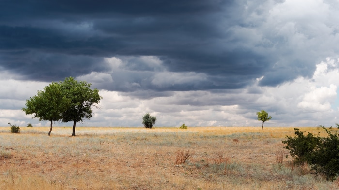 Overcast sky over a dry landscape with trees