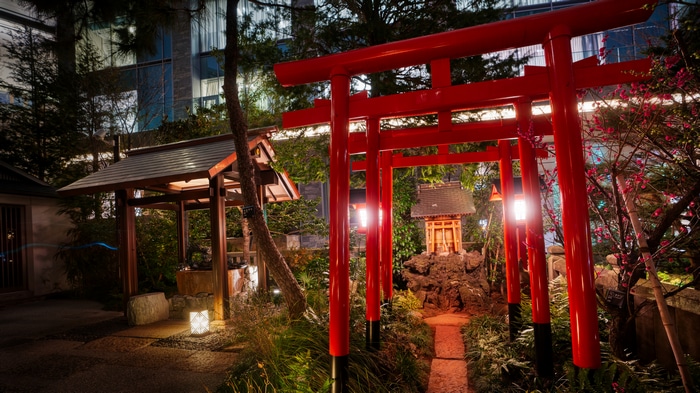 4K Japan Tokyo Torii at Night