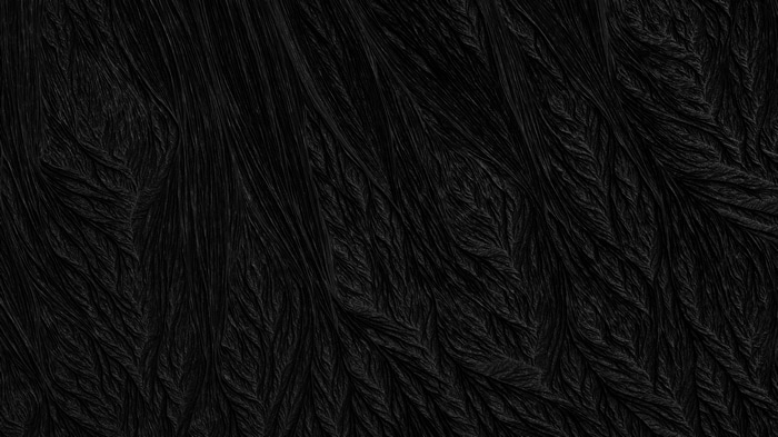 4K abstract black pattern by Jean-Marc Denis