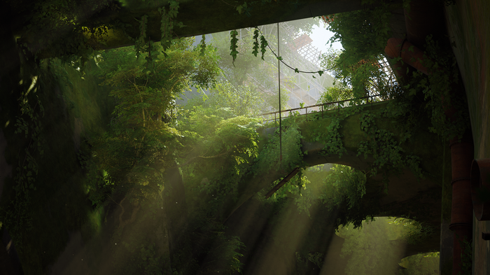 Overgrown ruins with sunlight filtering through