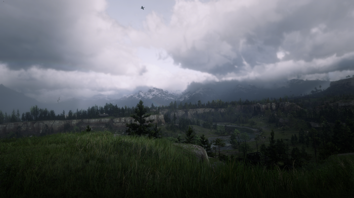 Red Dead Redemption 2 landscape with mountains and clouds