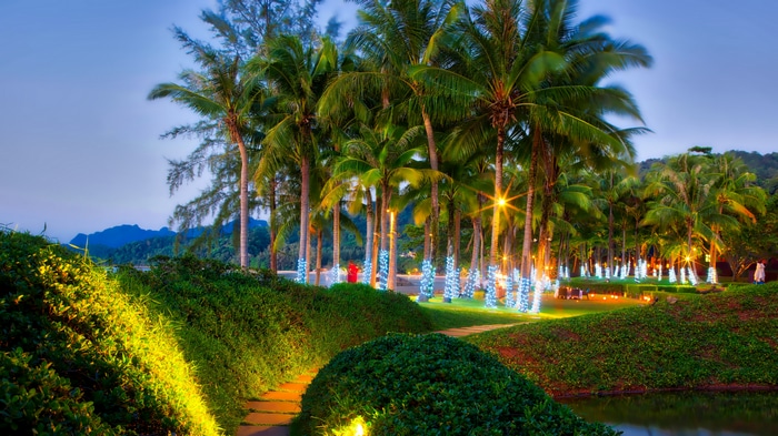 Trey Ratcliff's Thailand Palm Trees with Lights