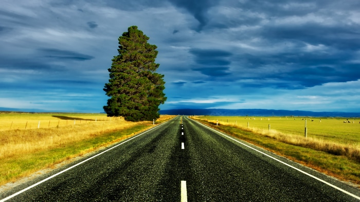 4K road through New Zealand landscape with tree and clouds