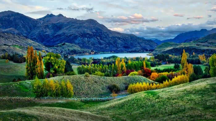 4K Mountains, Trees, and Lake Landscape in Queenstown, New Zealand