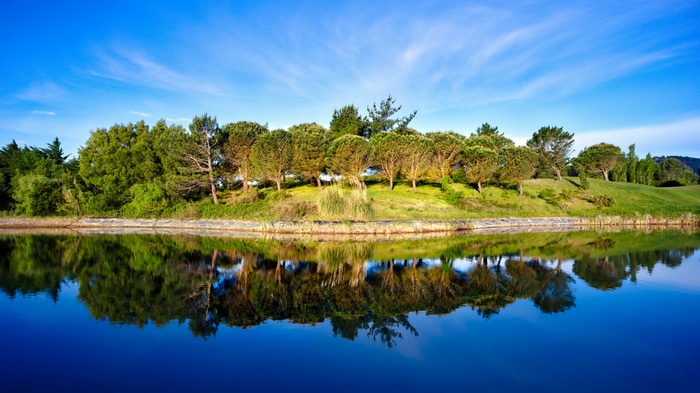 4K Nature Scene with Trees and Water Reflection
