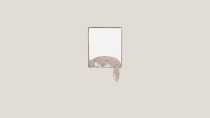 Cat sleeping on a window sill