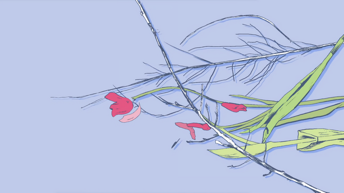Minimalist illustration of flowers and twigs on a light blue background