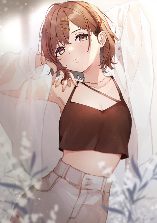 Anime girl with brown hair and a crop top