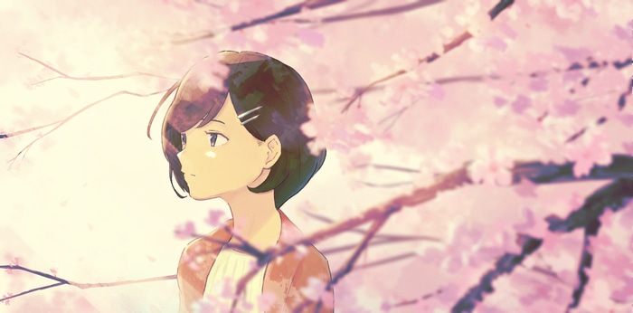 4K woman looking at side among cherry blossoms