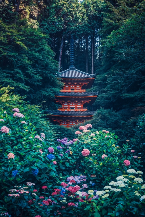 Japanese pagoda surrounded by lush trees and hydrangeas