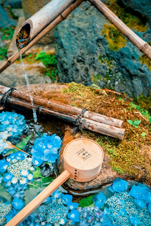 Japanese water dipper with hydrangeas and bamboo fountain