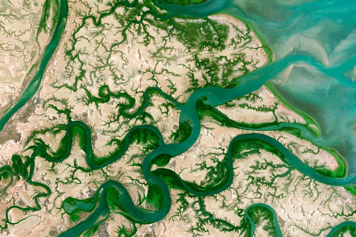 Aerial view of the McArthur River Delta, Australia