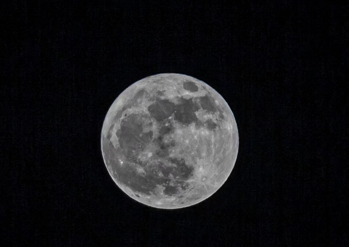 Full Moon in the Night Sky