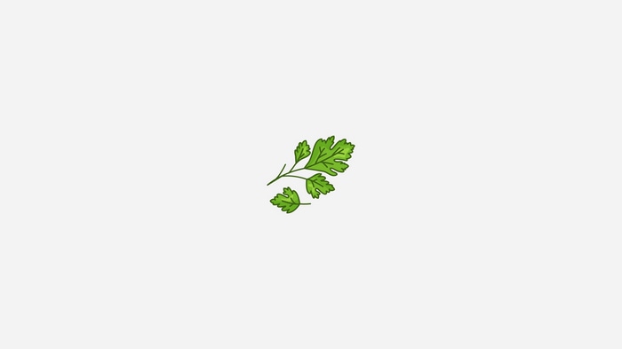 Parsley leaves on a white background