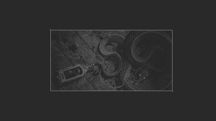 Monochrome drawing of a snake and a bottle