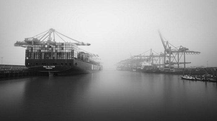 Container ship MSC Oliver in foggy Hamburg harbor with cranes