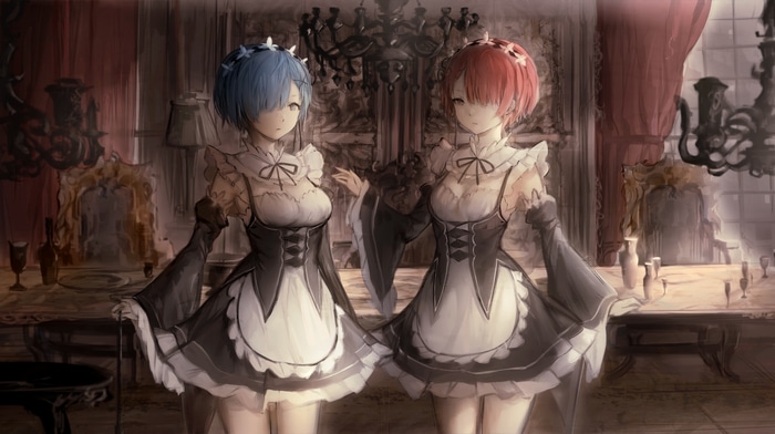 Rem and Ram from Re:Zero in Maid Outfits