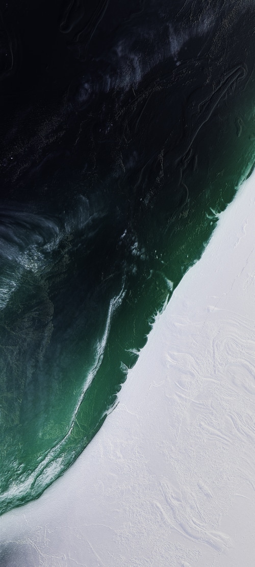 Abstract dark green and white texture