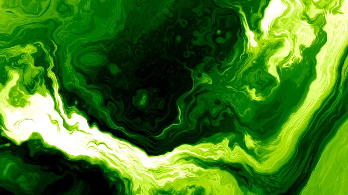 4K abstract green fluid art