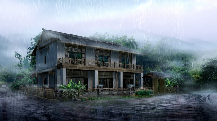 Building in the rain with trees and plants
