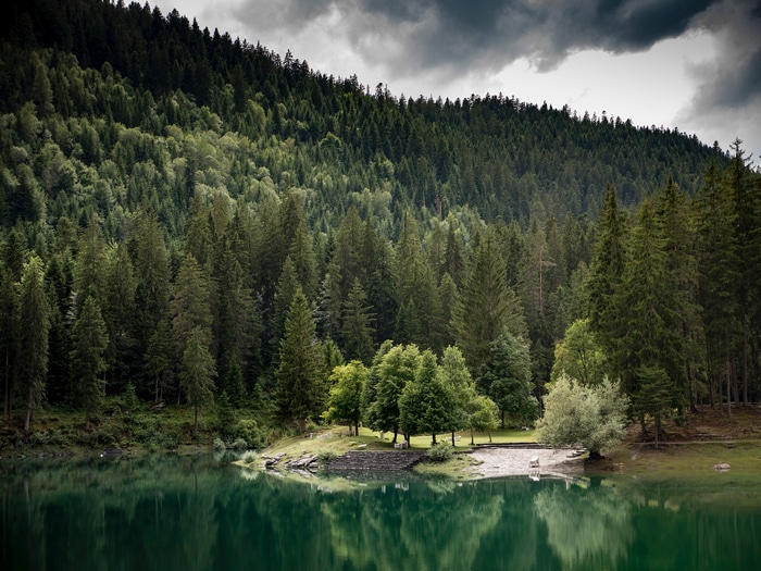 Forest reflected in a calm lake under cloudy skies