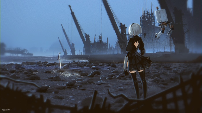 2B and Pod 042 on a beach with cranes