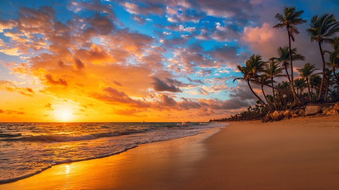 4K Tropical Island Beach Sunset with Palm Trees