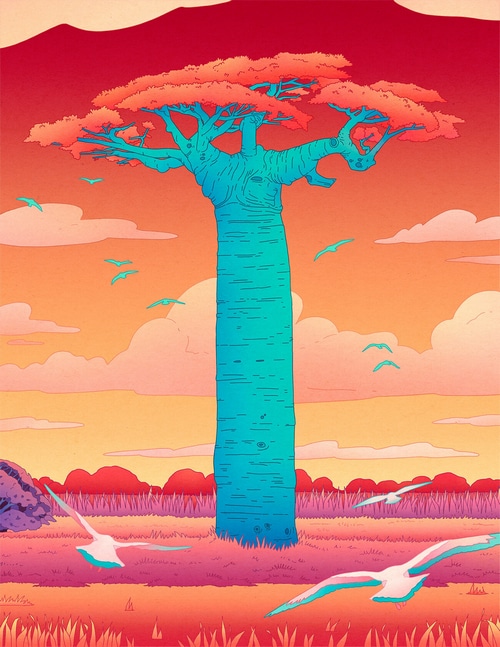Artwork by Camila Nogueira featuring a baobab tree and birds