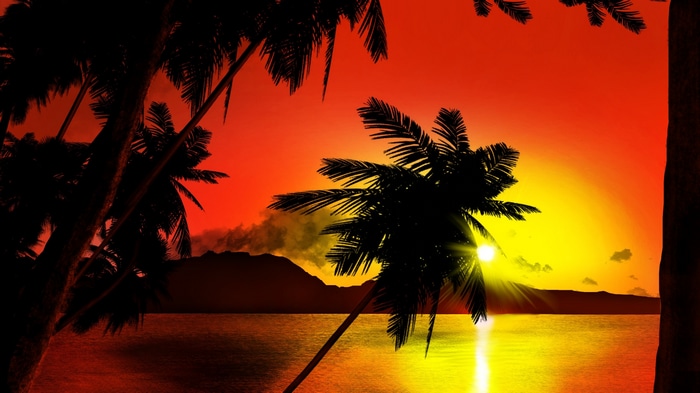 Tropical sunset over the ocean with palm trees