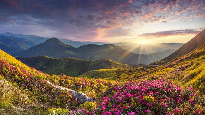 4K Sunrise over Rhododendron Mountains
