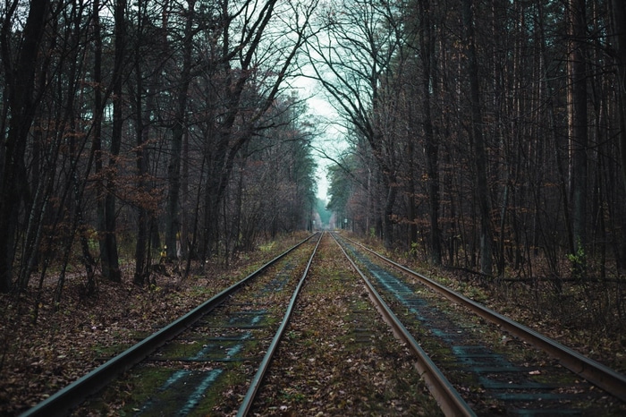 Railway tracks through a dark forest in Russia