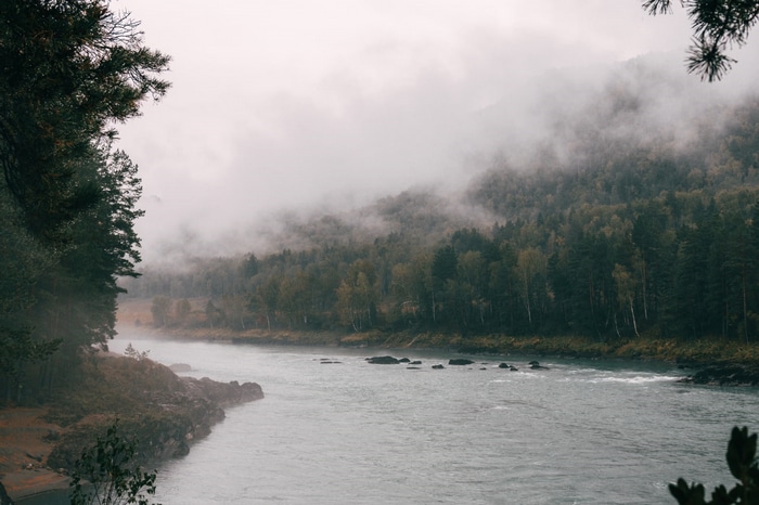 Misty river flowing through a forest in Russia
