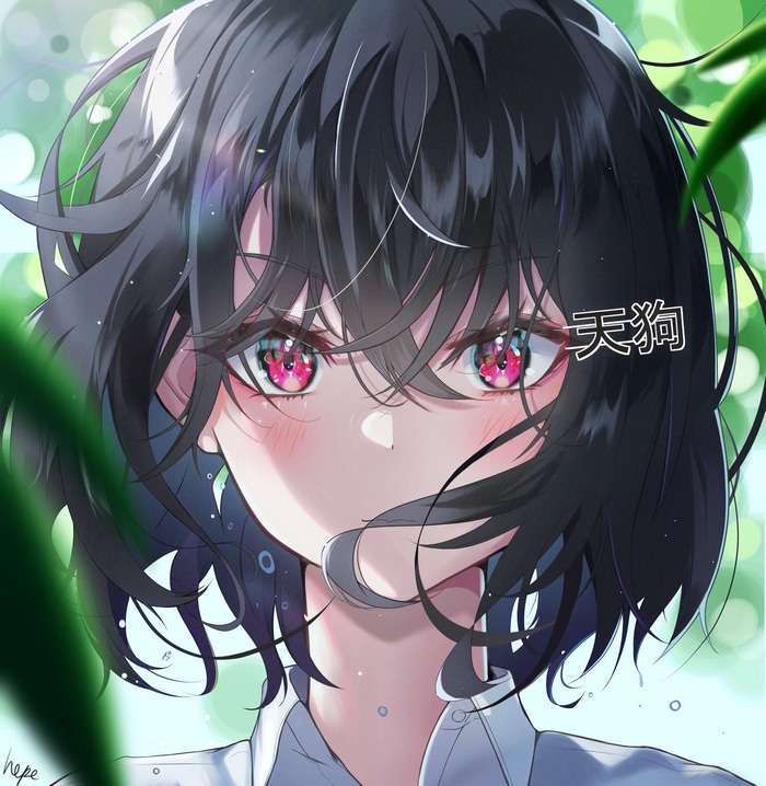 Shameimaru Aya from Touhou Fan Art