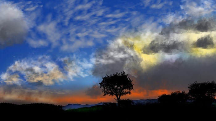 Silhouette of a tree against a colorful twilight sky