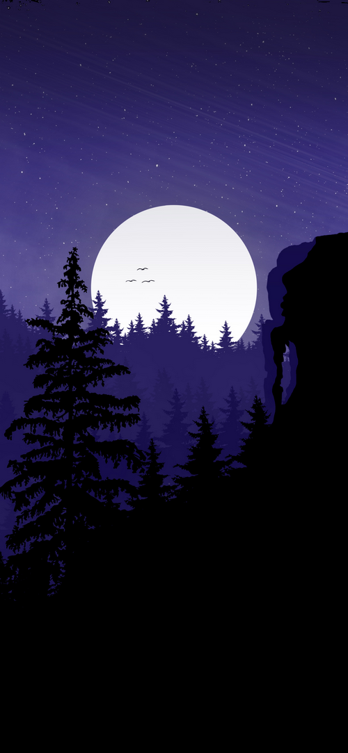 Night forest with a large moon and stars