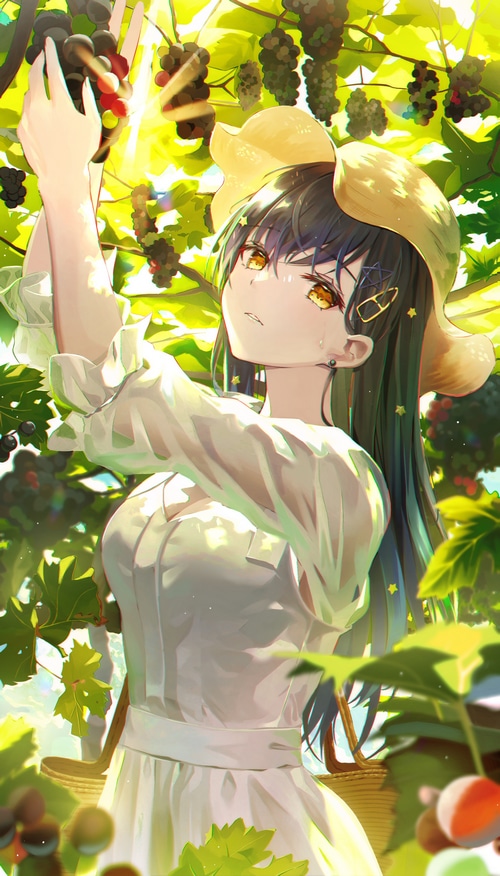 Hyonee picking grapes in a vineyard