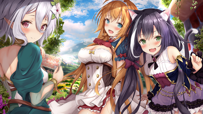 Princess Connect! Re:Dive 4K