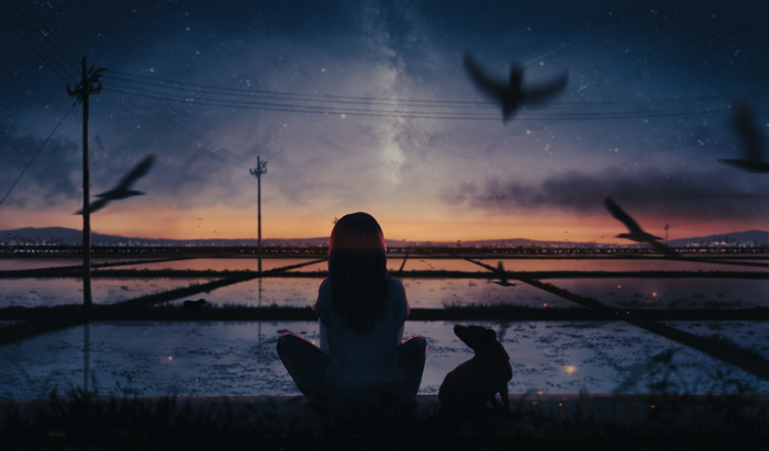 Girl and dog watch sunset over rice fields with birds