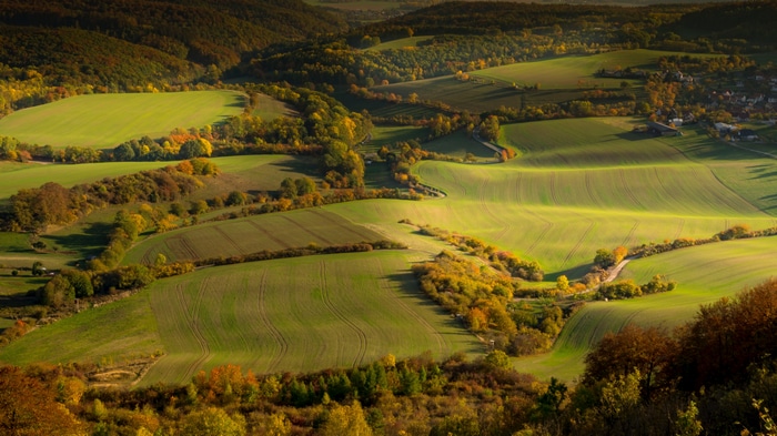 Aerial view of rolling green fields and autumn trees
