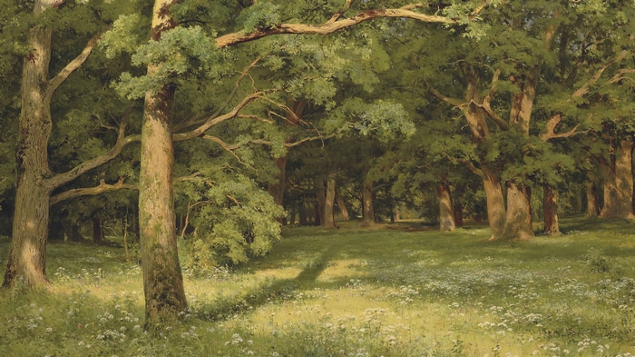 Painting of a sunlit forest with trees and wildflowers