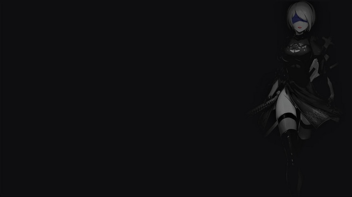 2B from Nier: Automata with selective coloring