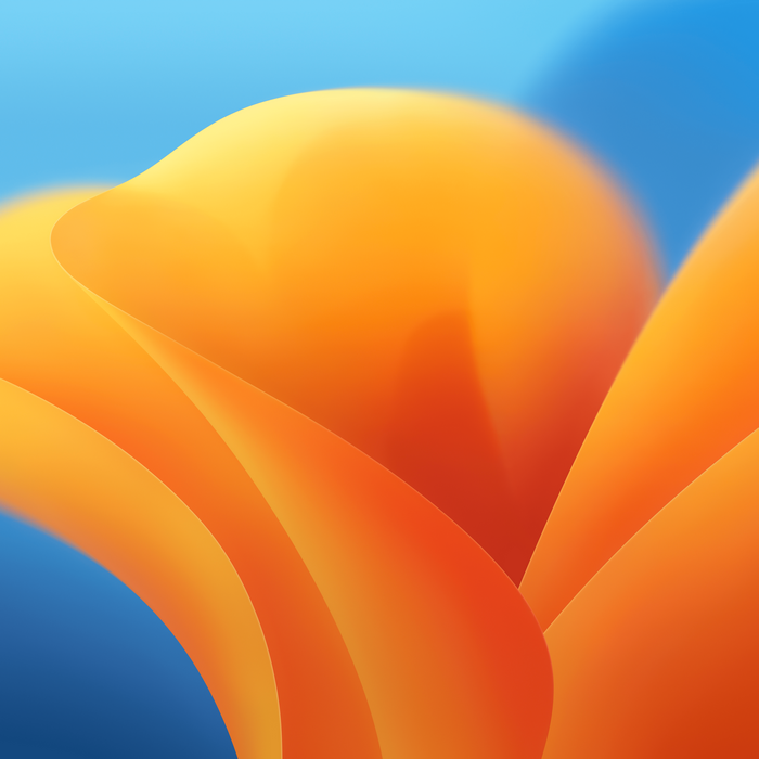 Abstract orange and blue shapes, MacOS Ventura