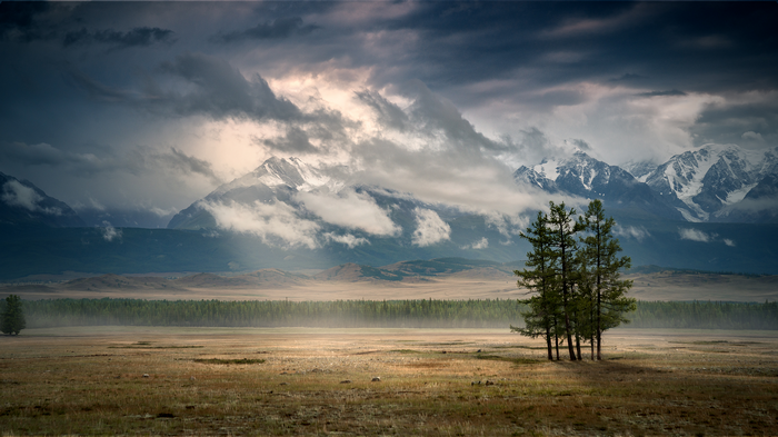 Altai Mountains with forest and mist under dramatic clouds